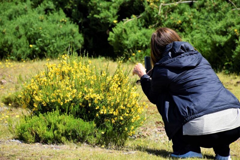 From Funchal: 2-Day Guided Tour of Madeira - Value for Money