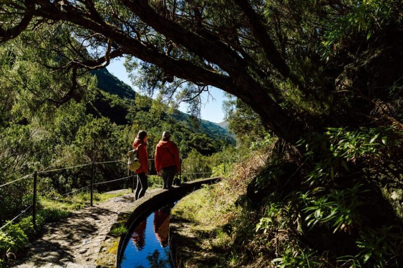 From Funchal/Caniço: Rabaçal Hike (25 Fontes) Bus Transfer - FAQ