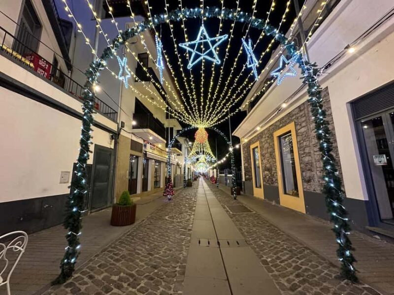 From Funchal: Curral das Freiras Nativity & Christmas Lights - Who Is This Tour Best For?