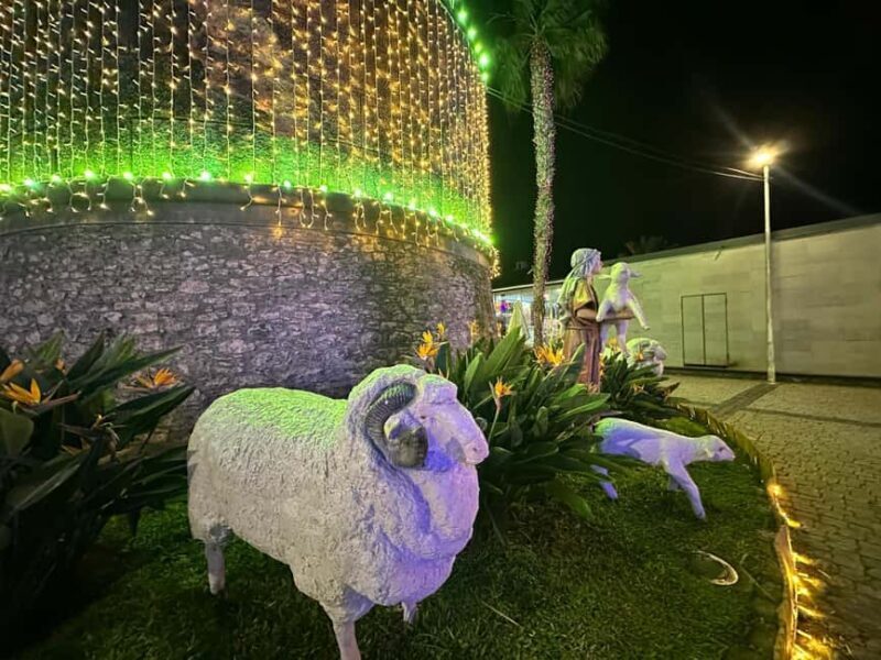 From Funchal: Curral das Freiras Nativity & Christmas Lights - FAQ