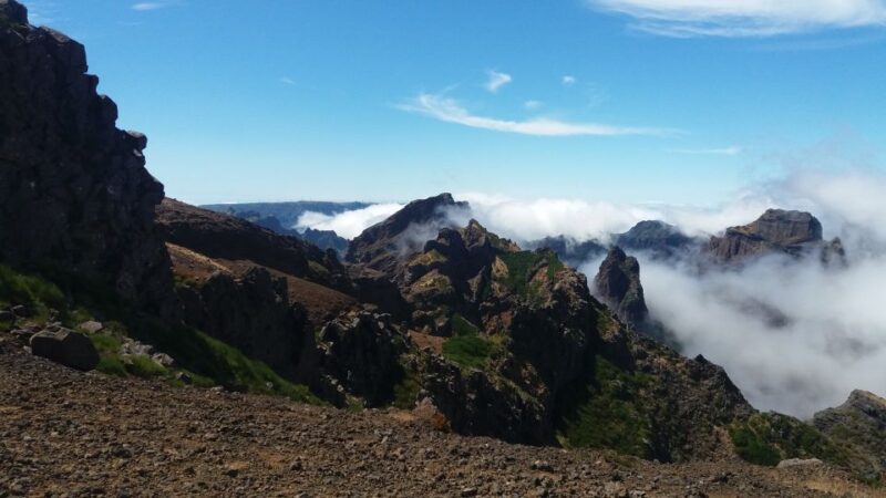 From Funchal: East Tour Madeira 4x4 Jipe Tour Santana Houses - Exploring Madeira’s Eastern Wonders: A Deep Dive