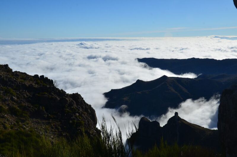From Funchal: East Tour Madeira 4x4 Jipe Tour Santana Houses - Who Will Love This Tour?