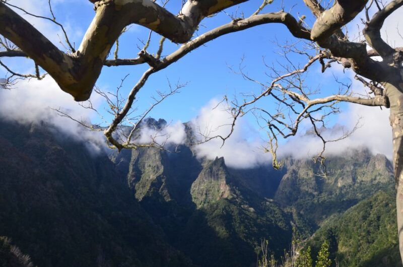 From Funchal: East Tour Madeira 4x4 Jipe Tour Santana Houses - The Sum Up