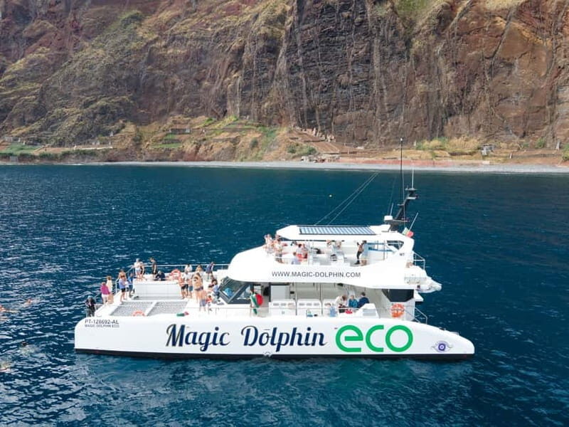 From Funchal: Ecological Catamaran Dolphin Whale Watching - A Thorough Look at the Ecological Dolphin and Whale Watching Tour
