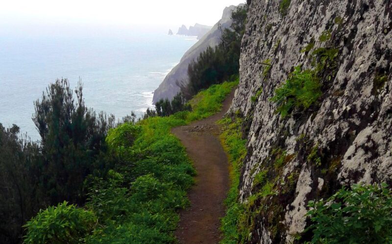From Funchal: Machico to Porto da Cruz Larano Cliff Hike - Authentic Experiences and Real Feedback