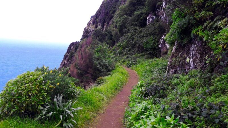 From Funchal: Machico to Porto da Cruz Larano Cliff Hike - Frequently Asked Questions