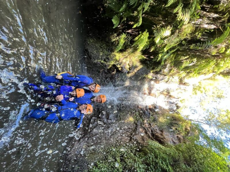 From Funchal: Madeira Island Canyoning for Beginners - Authentic Feedback: What Travelers Say