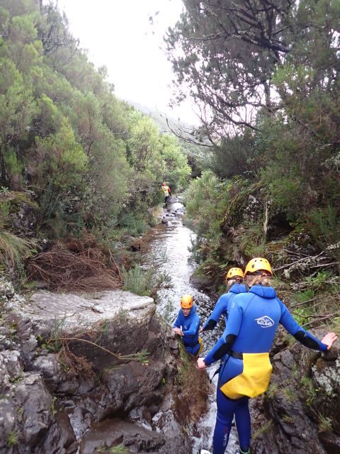 From Funchal: Madeira Island Canyoning for Beginners - Who Should Consider This Tour?