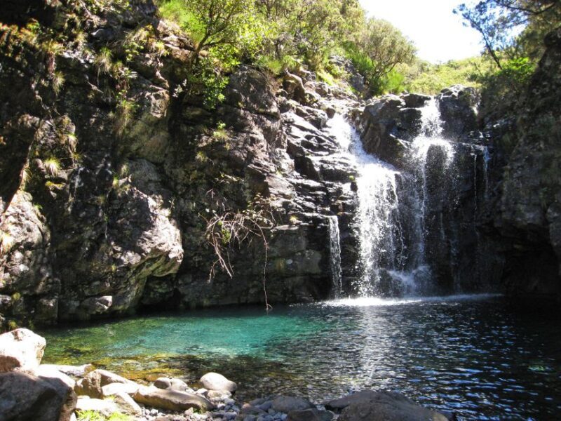 From Funchal: Madeira Lakes Levada Guided Hike - The Value of This Tour