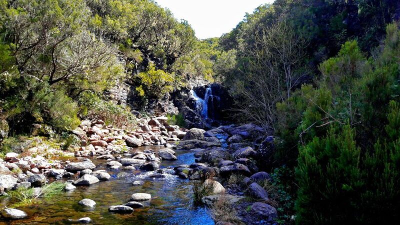 From Funchal: Madeira Lakes Levada Guided Hike - FAQs