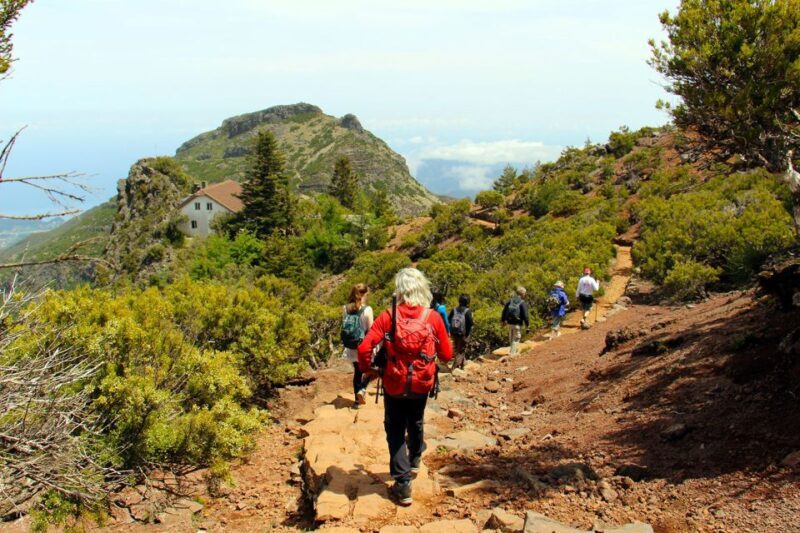 From Funchal: Madeira Peaks Mountain Walk - Detailed Review: Why You Should Take This Tour