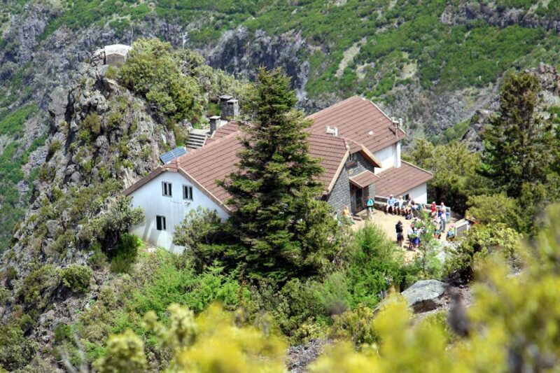 From Funchal: Madeira Peaks Mountain Walk - Final Thoughts: Who Will Love This Tour?