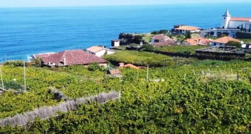 From Funchal: Madeira Wine Tour, Cable Car & Typical Lunch - Key Points