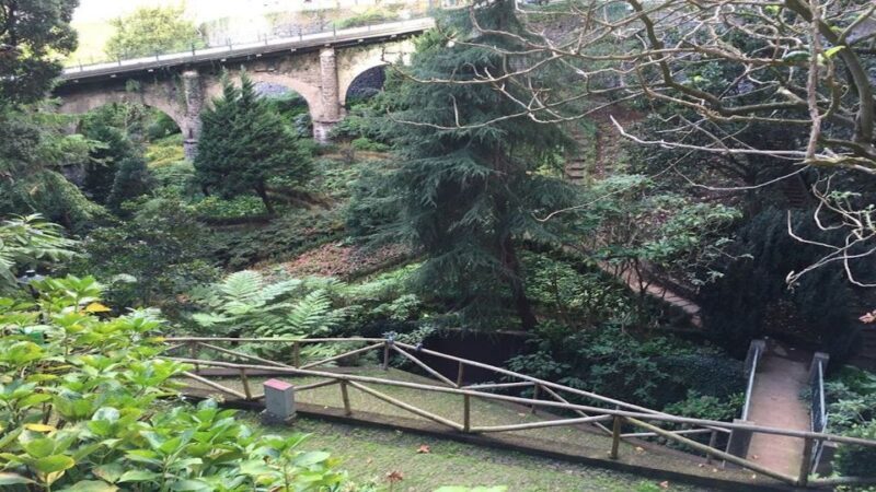 From Funchal: Nuns Valley, Monte and Sleigh Ride Tour - Discover the Best of Madeira on the Nuns Valley, Monte, and Toboggan Tour