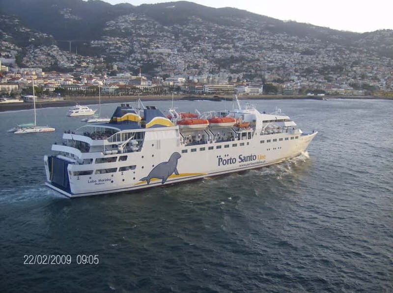 From Funchal: Porto Santo 1-Day Cruise and Tour - An In-Depth Look at the Porto Santo Experience