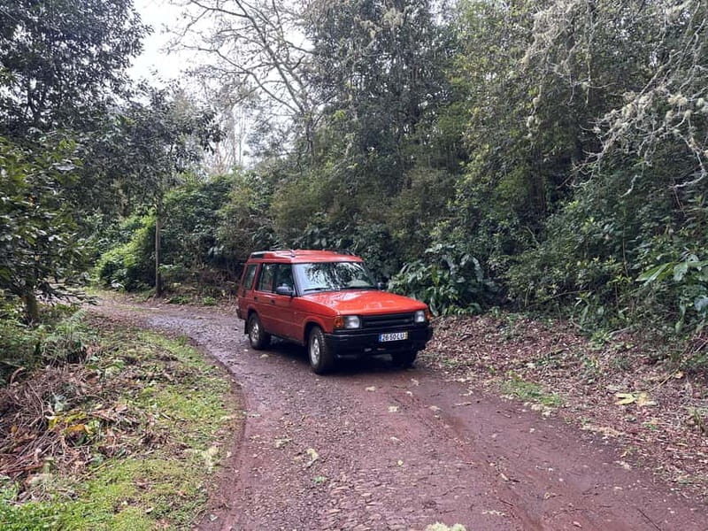 From Funchal: Private Eastern or Western Jeep Tour - From Funchal: Private Eastern or Western Jeep Tour