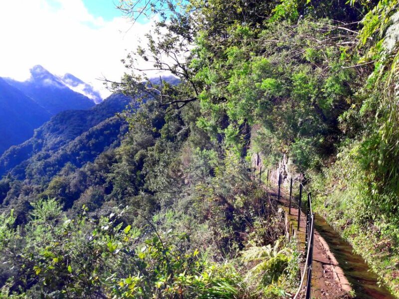 From Funchal: São Jorge Valleys Levada Walk - Key Points