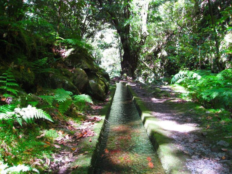 From Funchal: São Jorge Valleys Levada Walk - Exploring the São Jorge Valleys Levada Walk in Detail