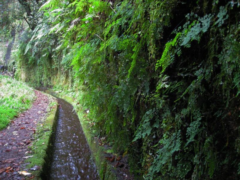 From Funchal: São Jorge Valleys Levada Walk - FAQ