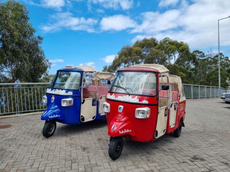 From Funchal: Tuk Tuk Tour to Camara de Lobos and Cabo Girao - A Practical Guide to the Madeira Tuk Tuk Tour