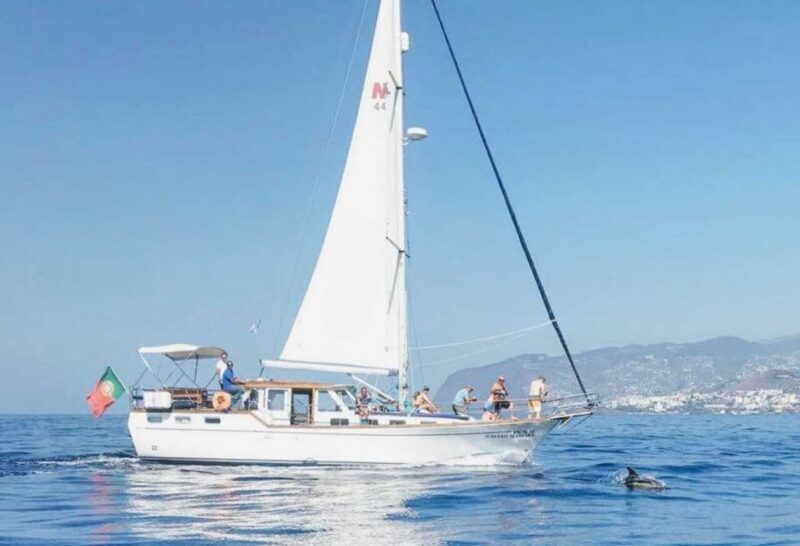 From Funchal: West Bays Sailing Tour with Lunch - Exploring the Madeira West Bays Sailing Tour in Detail