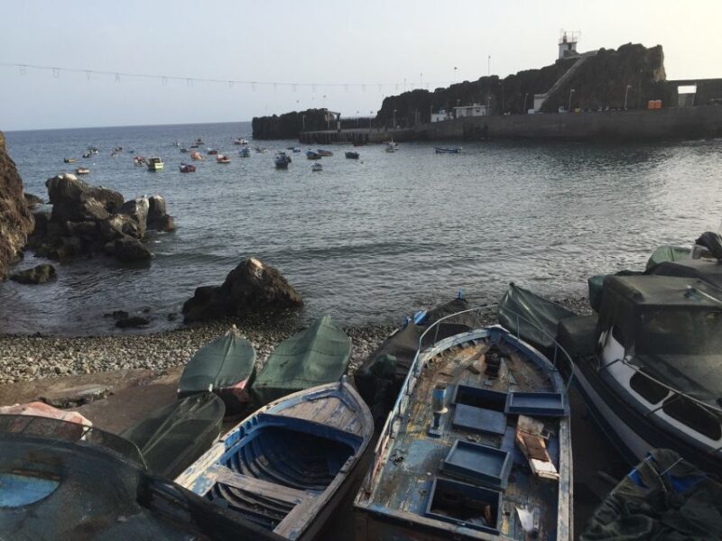 From Funchal: West Madeira and Laurel Forest Day Trip - A Detailed Look at the West Madeira Day Trip