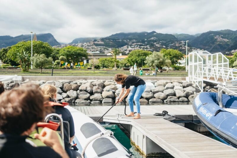 From Funchal: Whales and Dolphin Adventure Tour - From Funchal: Whales and Dolphin Adventure Tour