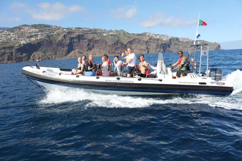 From Funchal: Whales and Dolphin Adventure Tour - Why This Tour Is Worth Your Time