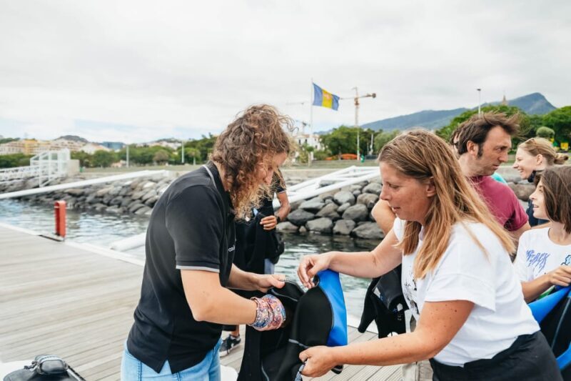 From Funchal: Whales and Dolphin Adventure Tour - Who Will Love This Tour?