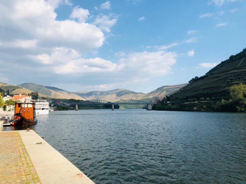 From Gaia Douro Valley Tour Wine Tasting River Cruise Lunch - A Deep Dive into the Douro Valley Tour Experience