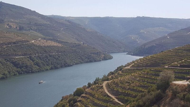 From Gaia Douro Valley Tour Wine Tasting River Cruise Lunch - Final Words