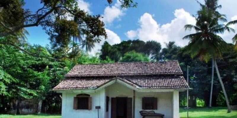 From Galle: Hidden Temples, Snakes & Coastlines Tour - Key Points