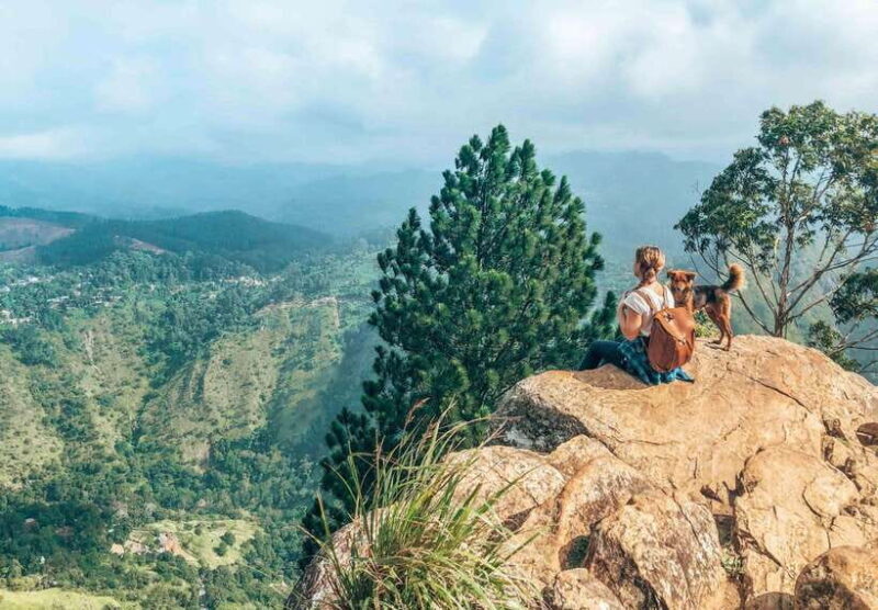 From Galle/Hikkaduwa/Mirissa -All-Inclusive Day Trip to Ella - Exploring Ella in depth