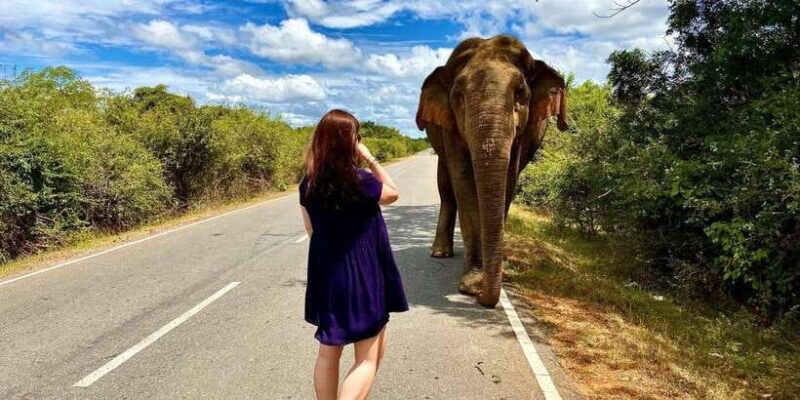 From Galle/Hikkaduwa/Mirissa Trip to Udawalawe Safari Tour - FAQ