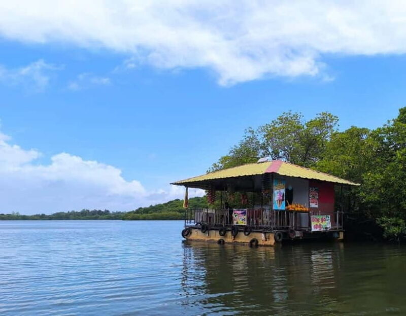 From Galle: Madu River Safari & Turtle Hatchery Visit - Final Thoughts