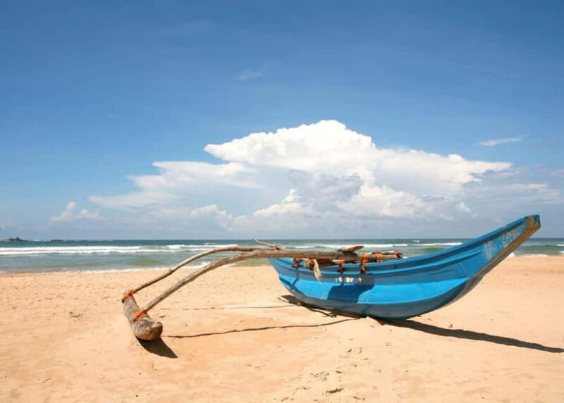 From Galle: Madu River Safari, Turtles & Galle Fort - Key Points