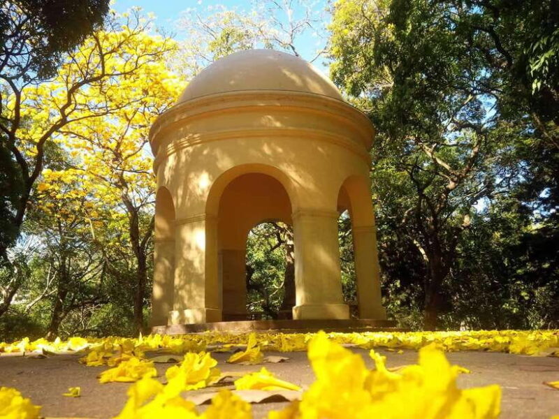 From Galle/Mirissa/Hikkaduwa: Kandy Day Tour with Pickup - Who Should Consider This Tour?