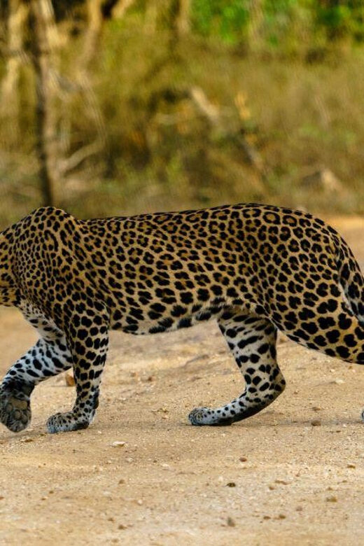 From Galle/Mirissa/Hikkaduwa - Yala Full Day Safari Tour - FAQs