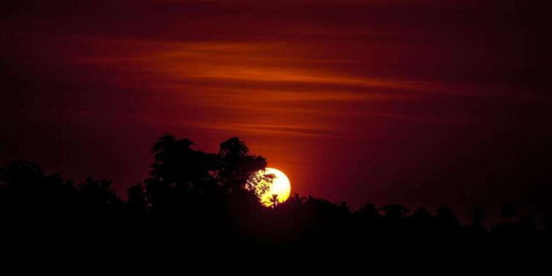 From Galle/Mirissa/Tangalle/Hikkaduwa Day trip to Ella Peaks - Final Thoughts