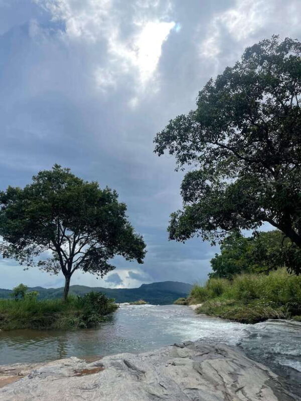 From Galle/Mirissa/Weligama: Private Waterfall Hunt to Ella - Who Should Consider This Tour?