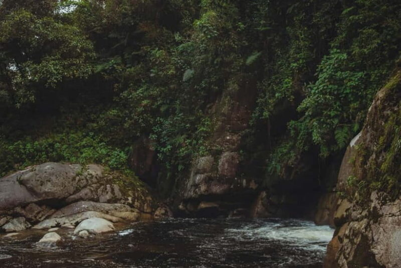 From Galle or Mirissa: Sinharaja Rainforest Day Trip - What’s Included and What You Should Know