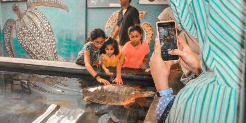 From Galle: Private Day Trip to Turtle Hatchery & Madu Ganga - In-Depth: Why This Tour Truly Matters