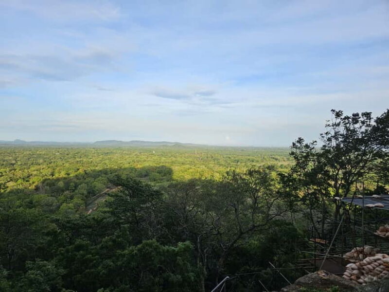 From Galle: Sigiriya Rock Fortress, Dambulla Cave & Safari - Key Points