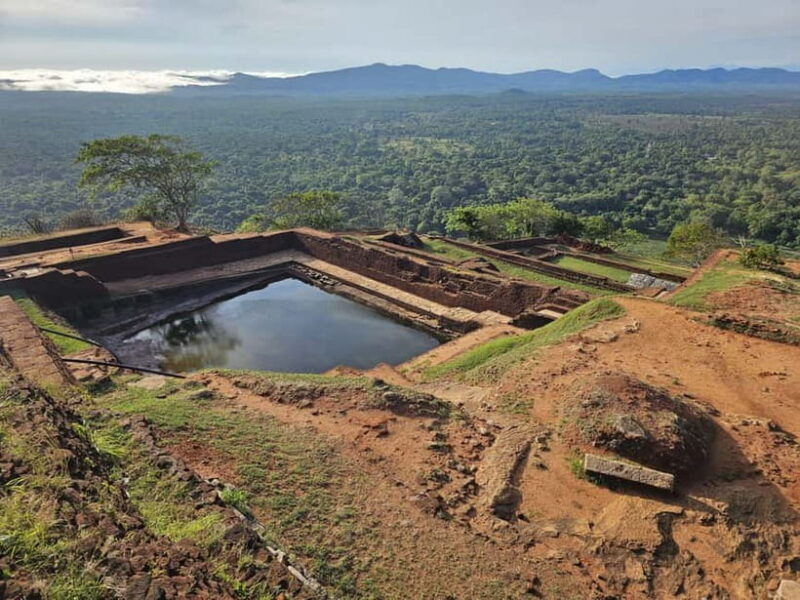 From Galle: Sigiriya Rock Fortress, Dambulla Cave & Safari - Who Will Enjoy This Tour?