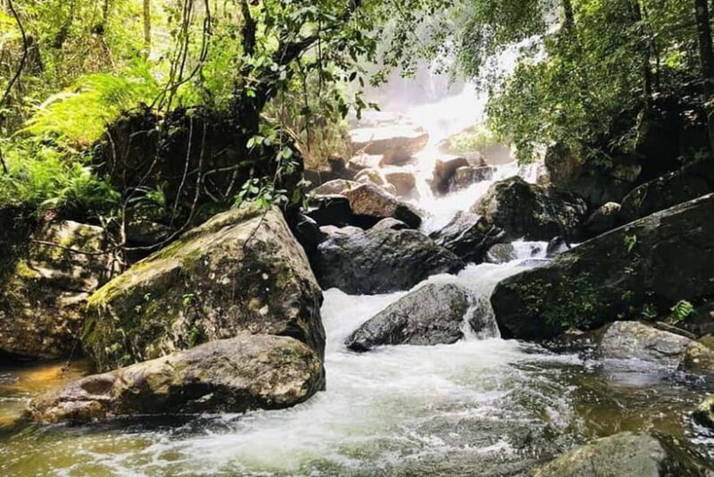 From Galle/Weligama/Mirissa/Matara: Day Trip to Sinharaja - Key Points