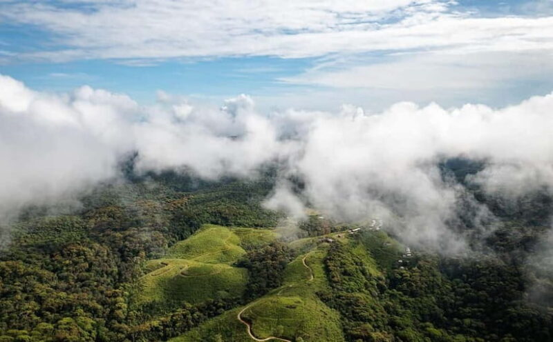 From Galle/Weligama/Mirissa/Matara: Day Trip to Sinharaja - Why This Tour Offers Great Value