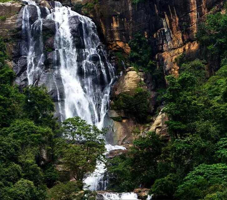 From Galle/Weligama/Mirissa/Tangalle: Day Trip to Ella - An In-Depth Look at the Tour