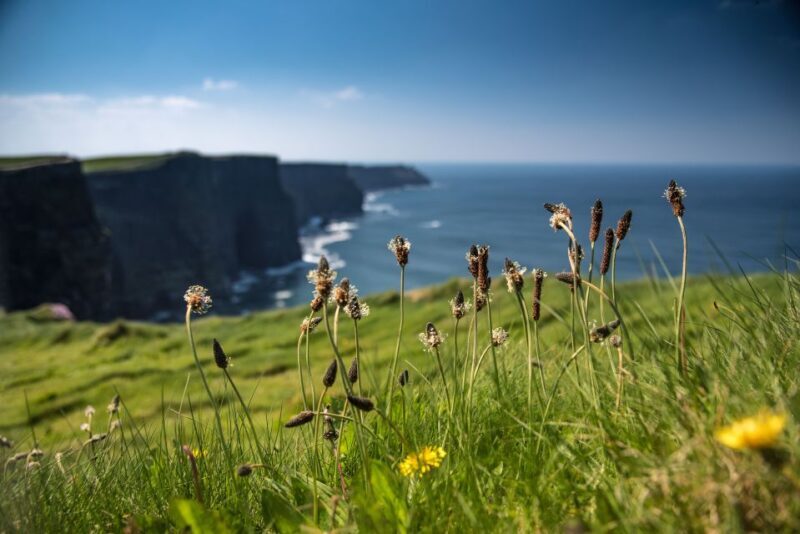 From Galway: Cliffs of Moher and The Burren Full Day Tour - FAQs