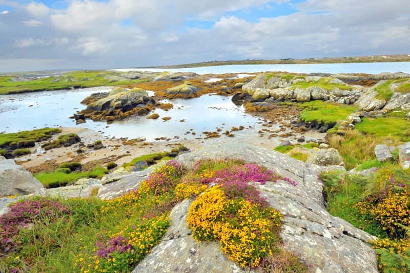 From Galway: Cliffs of Moher and The Burren Full Day Tour - Final Thoughts