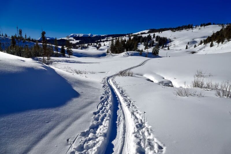 From Gardiner: Guided Yellowstone Cross-Country Skiing Tour - Key Points